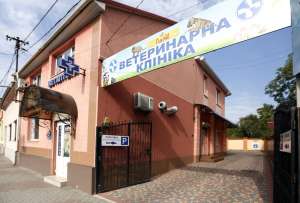 4 Лапи - Ветеринарна Клініка у Мукачеві. - оголошення