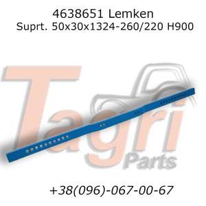 4638651   Lemken