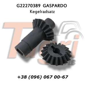 ​G22270389    2+2 Gaspardo ​