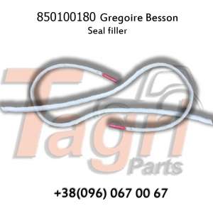 850100180   (24) Gregoire Besson - 