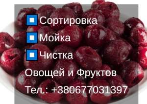 ⏹ УСЛУГИ: Мойка. ЧИСТКА. Сортировка ОВОЩЕЙ и Фруктов Киев || Инспекция - объявление