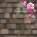    Owens Corning  TruDefinition DURATION   112 /..    31.07.2012.