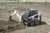   BOBCAT S130