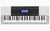   CASIO WK-220  76     
