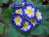 , , , , , ,  (096)221-57-77