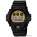    CASIO G-SHOCK DW-6900PL-1ER    