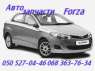    ,   . Forza