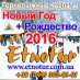 New      2016