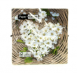 M18-270068,   (20 .), , -