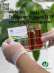 new bmk oil CAS 20320-59-6 Diethyl(phenylacetyl)malonate