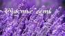 КОНСУЛЬТАЦИИ, МАГИЯ. Ивано-Франковск и любой населенный пункт. Дистанционно по фото