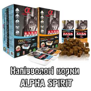 ALPHA SPIRIT