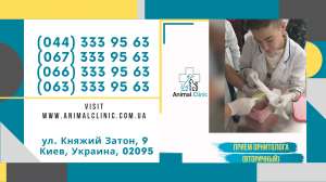 Animal Clinic - 