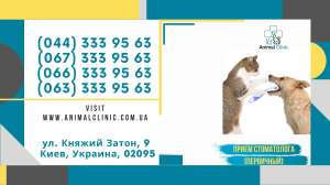 Animal Clinic — ветеринарная клиника в Киеве, которая работает по американским стандартам качества. У нас: - оголошення