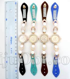 BijuOpt ��������� �����