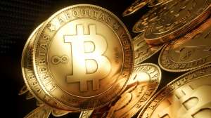 Bitcoin-  sms- .    24 bitcoin- - 