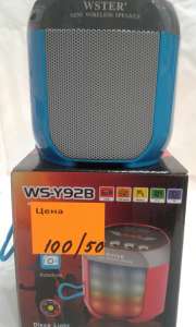 Bluetooth  WS-Y91B