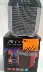 Bluetooth колонка WS-Y91B - объявление