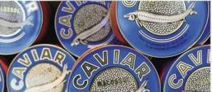 Caviar caspian Продам Настоящую чёрную икру осетра. - объявление