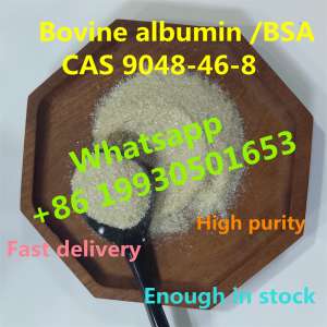 Chinese factory sell Bovine Serum Albumin with CAS 9048-46-8 BSA (whatsapp +8619930501653) - 