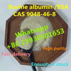 Chinese factory sell Bovine Serum Albumin with CAS 9048-46-8 BSA (whatsapp +8619930501653)