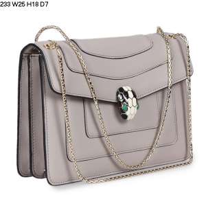 Dior , Prada ,Fendi, Valentino, Bvlgari, Gucci ,Chanel, Hermes , Miu Miu , YSL , Celine , Chloe , Bottega , Louis Vuitton handbag