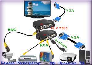 FLY7503 -   (RCA, COMPOSITE, S-VIDEO)  VGA