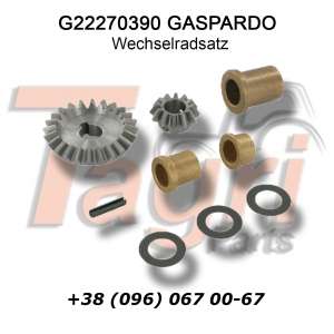 G22270390   Gaspardo