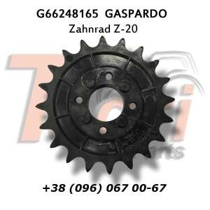 G66248165 ǳ Z-20 Gaspardo