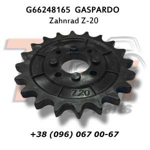 G66248165 ǳ Z-20 Gaspardo