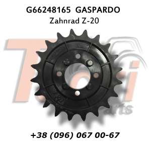 G66248165 Зірочка Z-20 Gaspardo - объявление