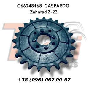 G66248168 ǳ Z-23 Gaspardo