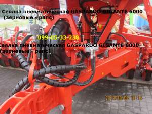 GASPARDO MASCHIO     GASPARDO GIGANTE 6000