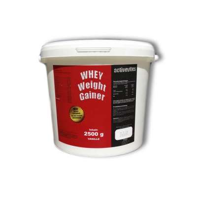 Activevites Whey Weight Gainer 2500 g