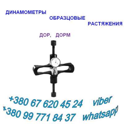    (), 