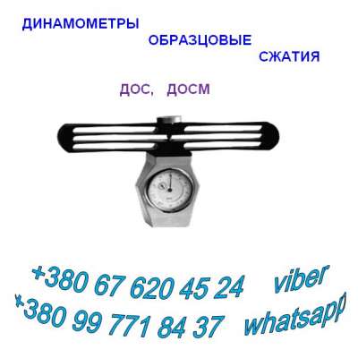    (), 