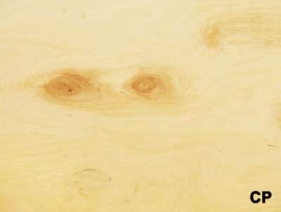 ����������� 2. ������ �� 8�1525�1525 ��, ���� 3/4