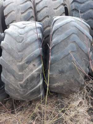   460/70R24 (17/5/24) Michelin   , 