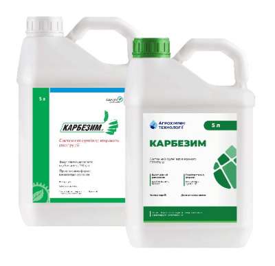 ����������� 3. ������� �������� ���������� �������㳿 (5 �), ����������� ���һ, ������� ���������� ���� ����� �������� ���������� �����������