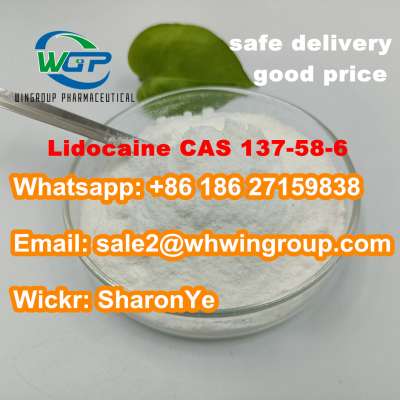 +8618627159838 Lidocaine CAS 137-58-6 Benzocaine/Tetracaine with High Quality 100% Customs Clearnace and Good Price
