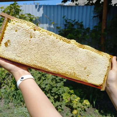 ����������� 2. ���������� ��� �� ����