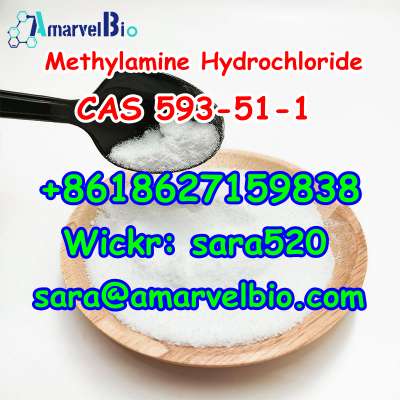 +8618627159838 Methylamine Hydrochloride CAS 593-51-1 Research Chemical with Fast Delivery