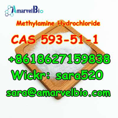  5. +8618627159838 Methylamine Hydrochloride CAS 593-51-1 Research Chemical with Fast Delivery