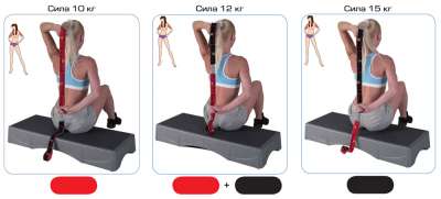 ����������� 3. ������������� �������� Elastiband 3 � 1.