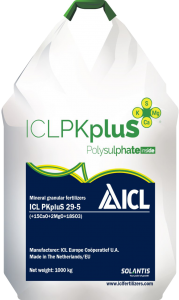 ICL PKpluS 29-5 (+2MgO+21CaO+18SO3) |||   B&S Product - 