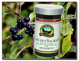 Kacapa  ( )/ Cascara sagrada  