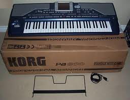 Korg PA800 Pro  ..................  600 EUR