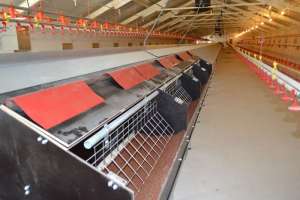 K�������� ������������ ��� ��� ������� � ��������������� ������ - ����������