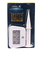 L14-550143, LED   ,  - 