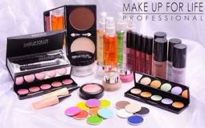 MAKE UP FOR LIFE PROFESSIONAL 